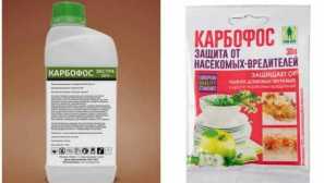 Карбофос від тарганів самостійного використання вдома